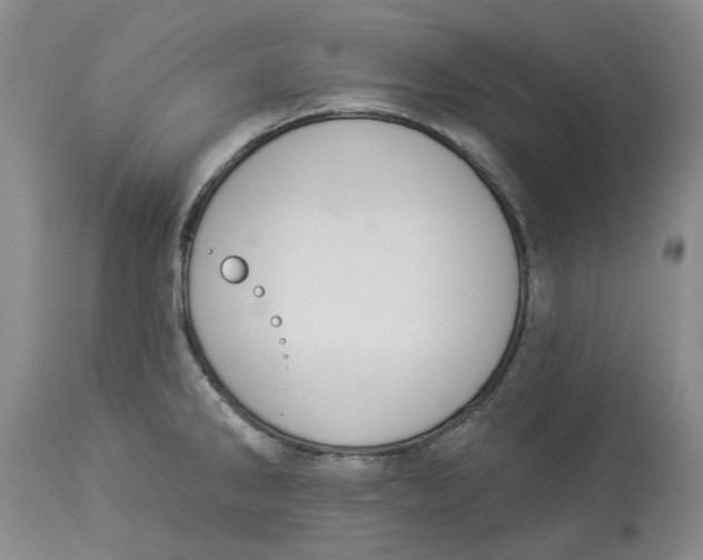 X0000114031286200910231851