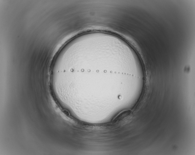 X0000114031287200910231851