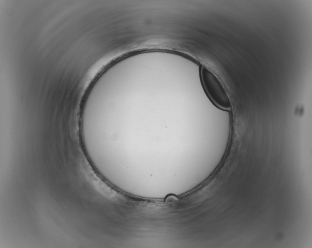 X0000114031288200910231851