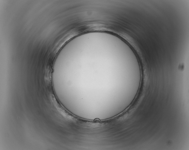 X0000114031289200910231851