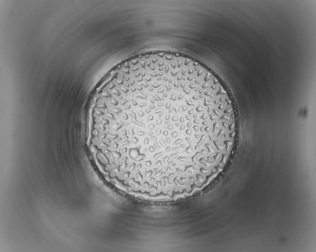 X0000114031290200910231851