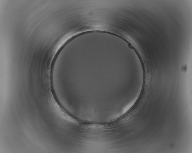 X0000114031291200910231851