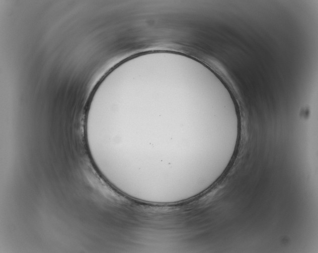 X0000114031292200910231851