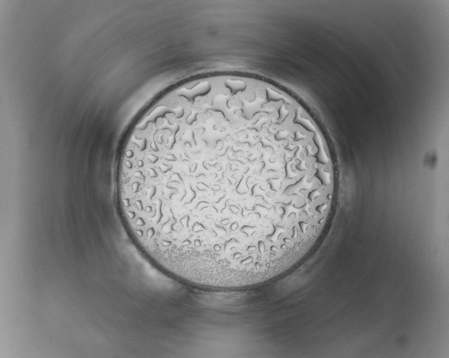 X0000114031294200910231851