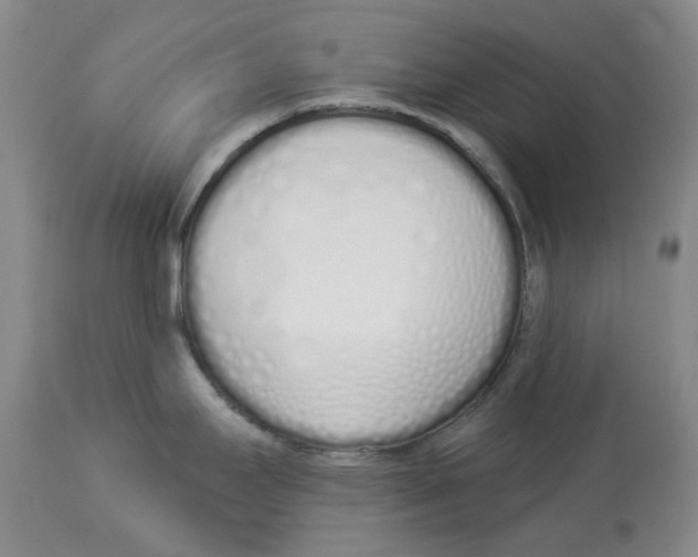 X0000114031295200910231851