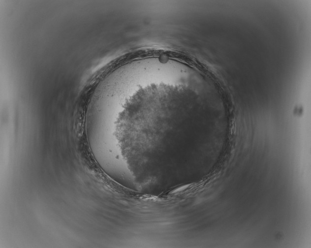 X0000114031303200910231850