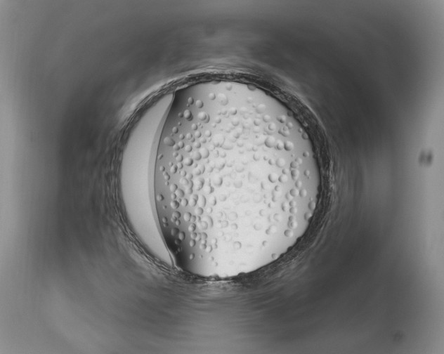 X0000114031304200910231850