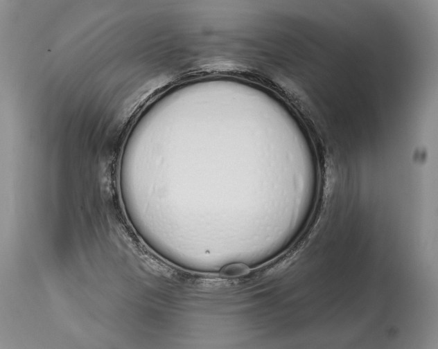 X0000114031305200910231850