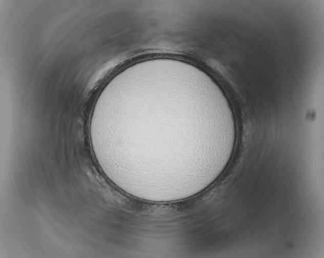 X0000114031307200910231850