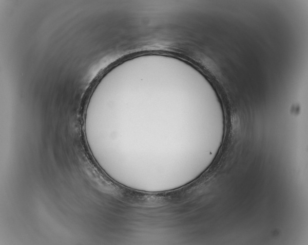 X0000114031308200910231850