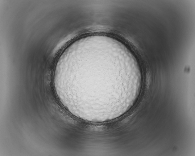 X0000114031309200910231850