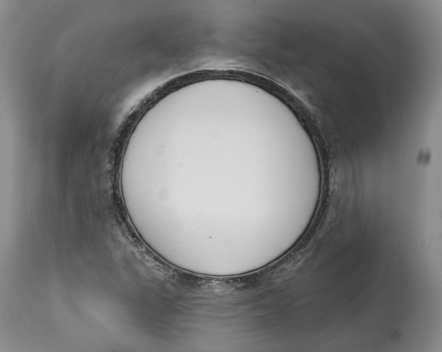 X0000114031311200910231850