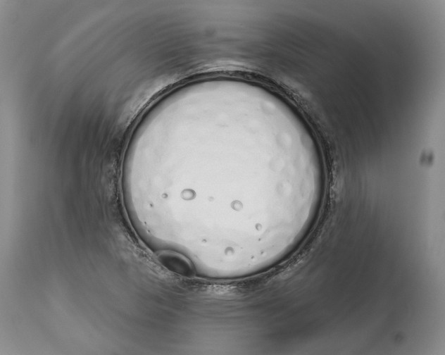 X0000114031313200910231850