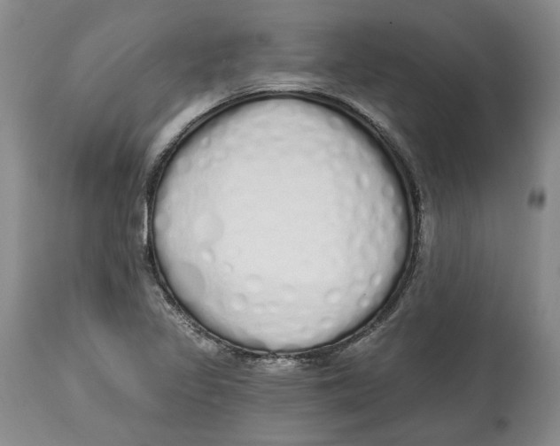 X0000114031317200910231850