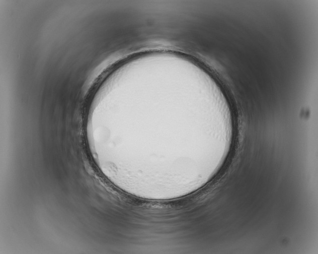 X0000114031318200910231850