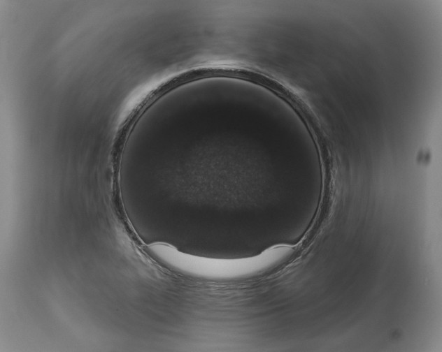 X0000114031319200910231850