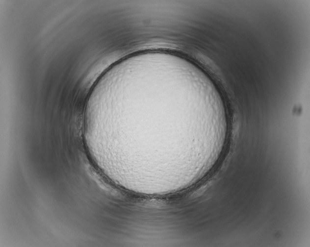 X0000114031321200910231850