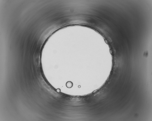 X0000114031322200910231850