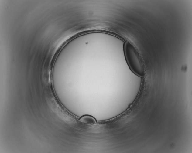 X0000114031324200910231850