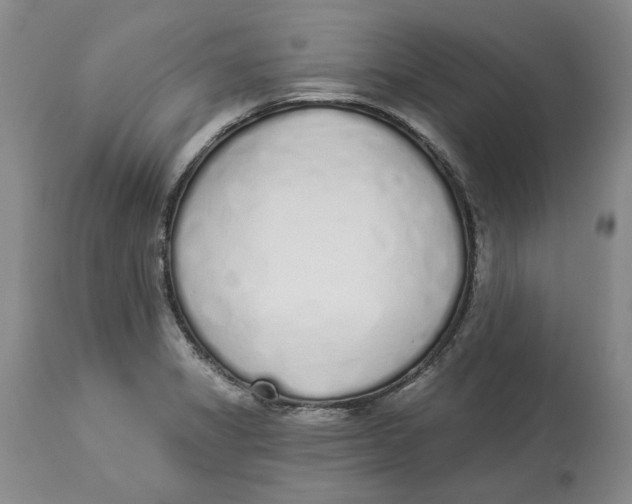 X0000114031325200910231850