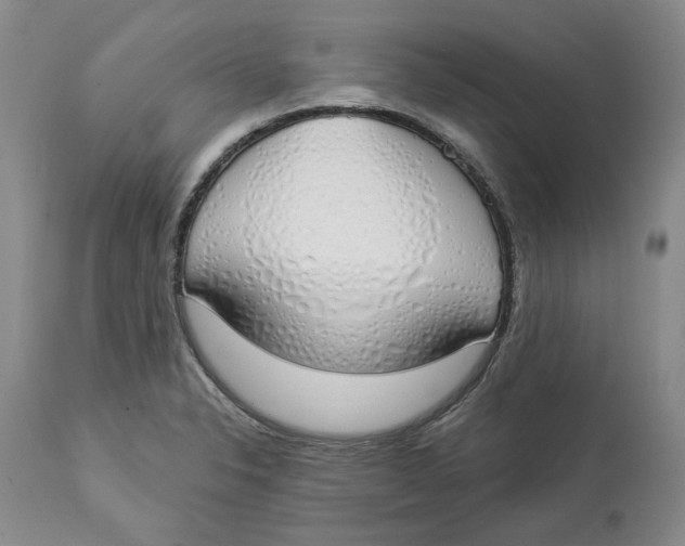 X0000114031326200910231850