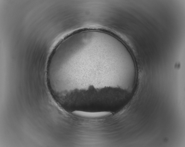 X0000114031327200910231850