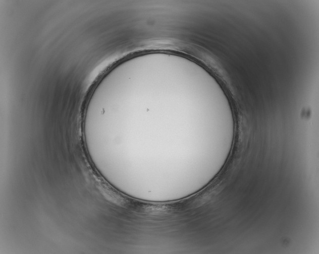 X0000114031328200910231850