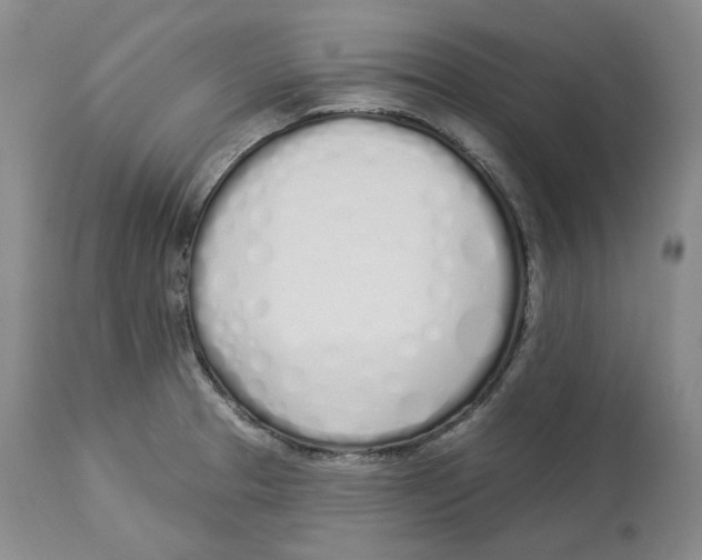 X0000114031329200910231850