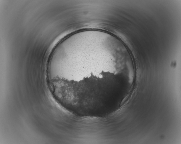 X0000114031331200910231850