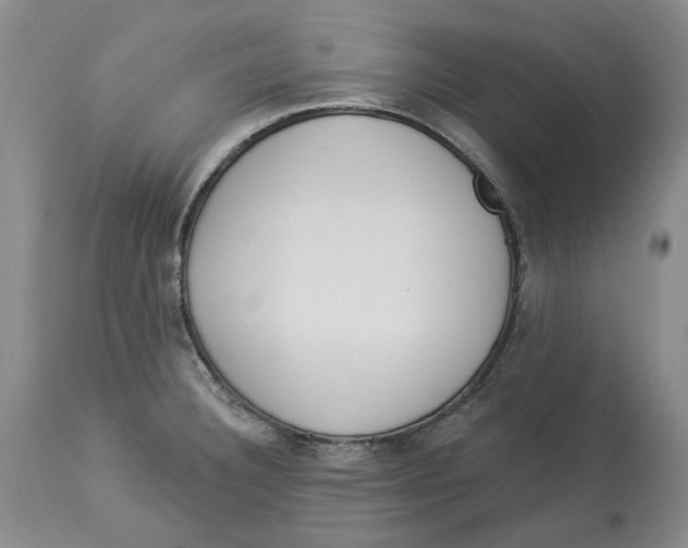 X0000114031332200910231850