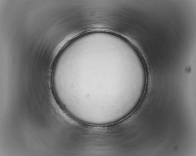 X0000114031333200910231850