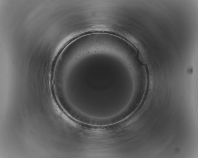 X0000114031334200910231850