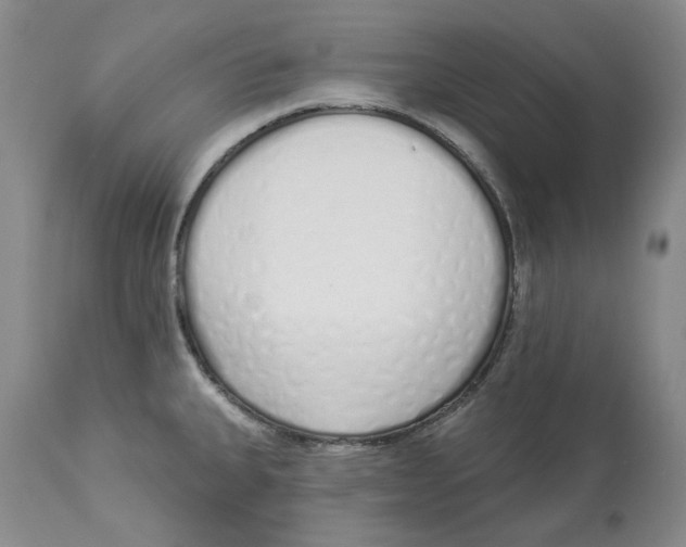 X0000114031335200910231851