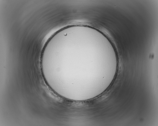 X0000114031336200910231851