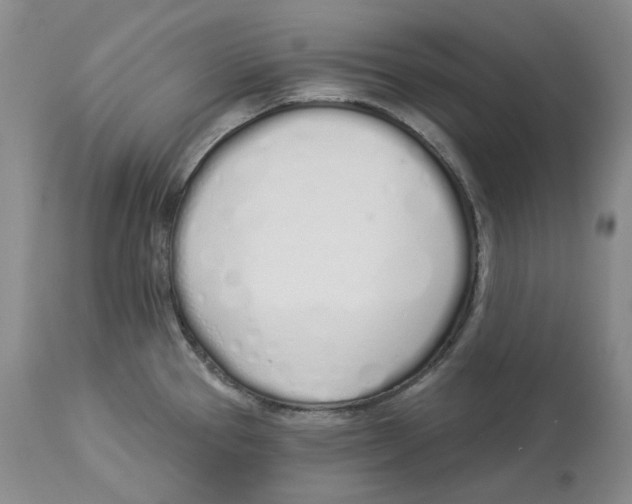 X0000114031337200910231851