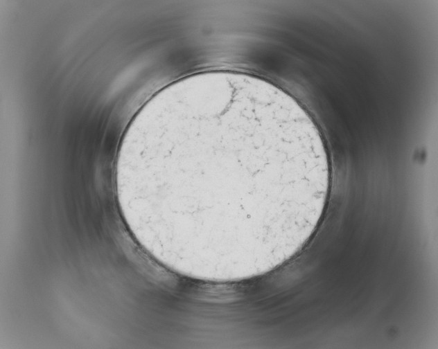 X0000114031338200910231851