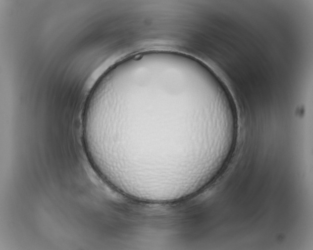 X0000114031341200910231851