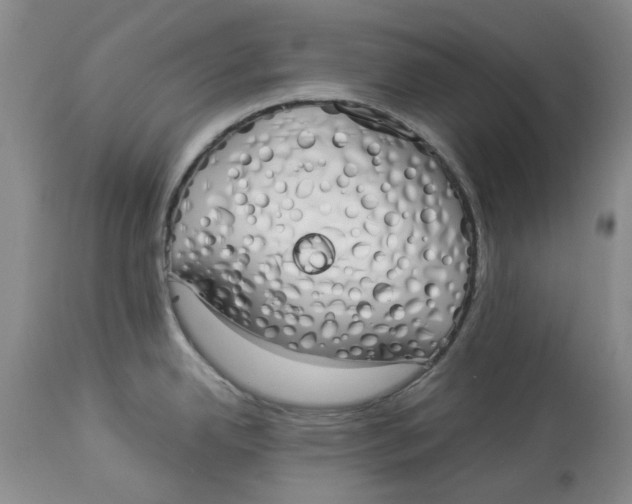 X0000114031342200910231851