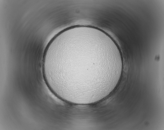 X0000114031343200910231851