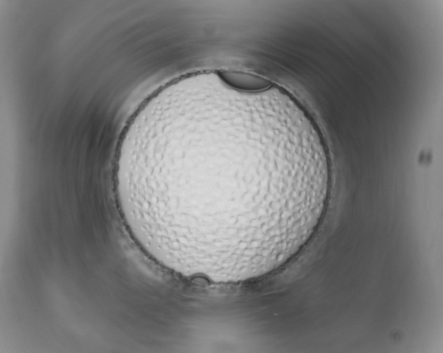 X0000114031344200910231851