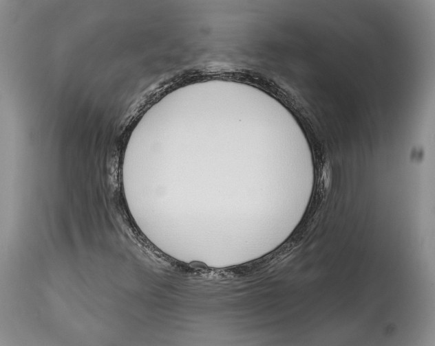 X0000114031348200910231850