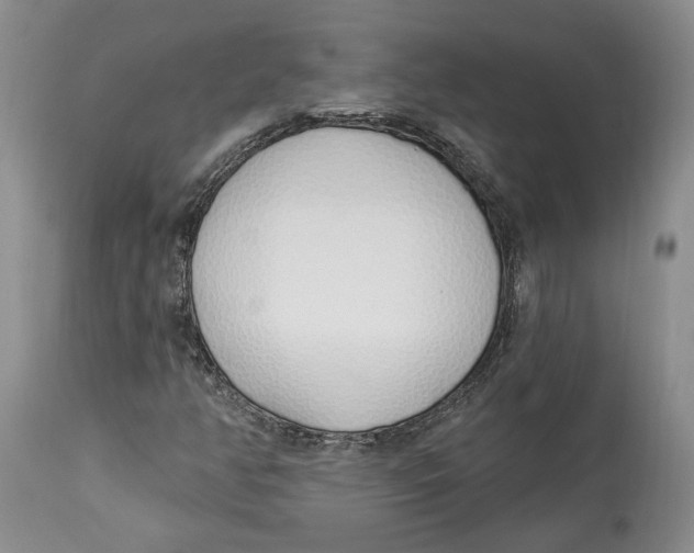 X0000114031350200910231850