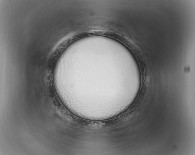 X0000114031351200910231850