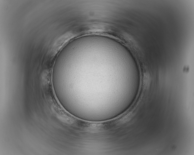 X0000114031353200910231850