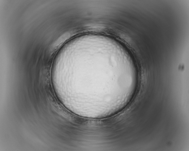 X0000114031354200910231850