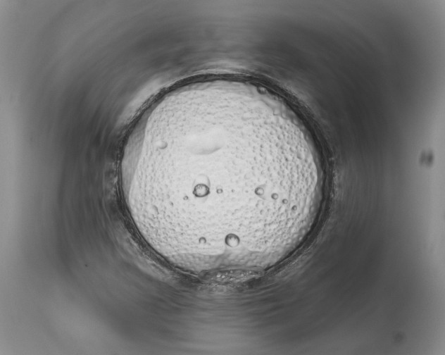 X0000114031355200910231850