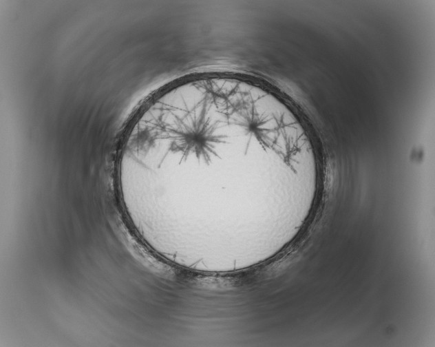 X0000114031356200910231850