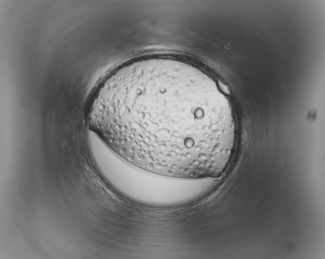 X0000114031357200910231850