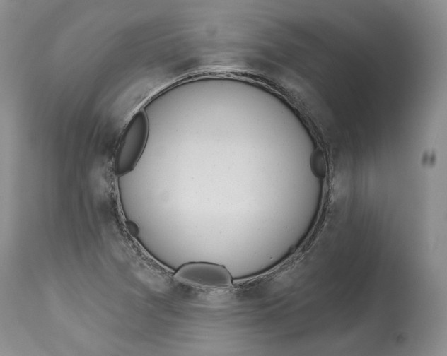 X0000114031361200910231850