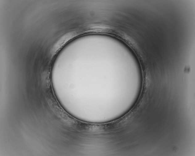 X0000114031362200910231850